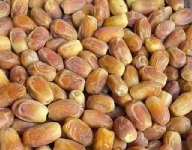 Zahidi Dates | Zahidi Kajoor Zahidi Dates | Zahidi Kajoor